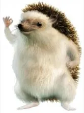 winkender Igel