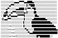Schwarz-weißes ASCII-Bild eines Tukan von der Seite